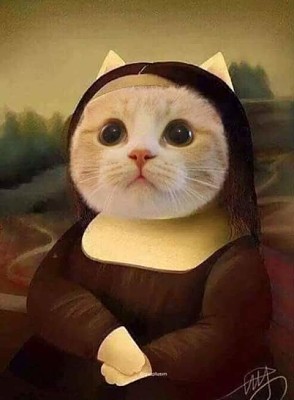 MONALISA CAT