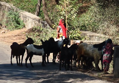 פאזל של India Ranakpur