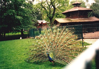 Jardin botanique Ã  Tours
