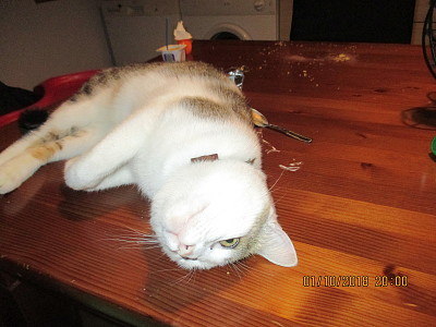 Nuggets sur la table
