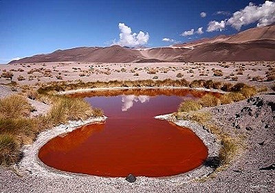 Salar de Antofalla, Catamarca. Argentina jigsaw puzzle