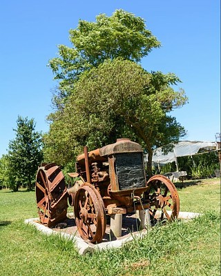 פאזל של campo