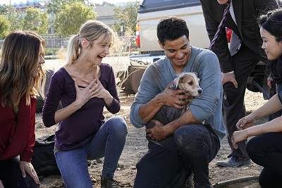 Walter and the dog 4x11