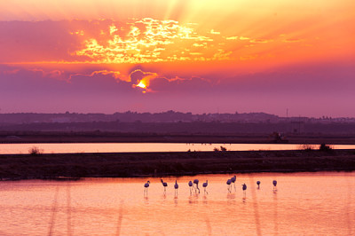 פאזל של atardecer