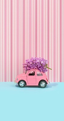 Fusca Rosa