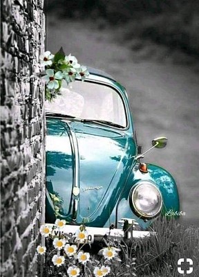 Fusca Verde jigsaw puzzle