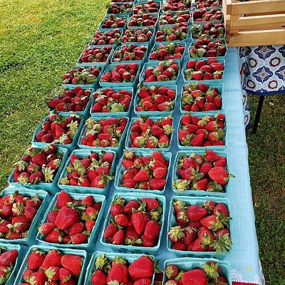 Strawberries jigsaw puzzle