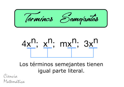 tÃ©rminos semejantes