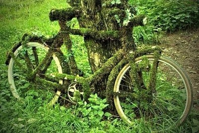 old bike covered in moss