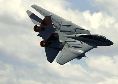 פאזל של F-14