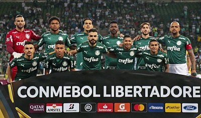 פאזל של palmeiras 1