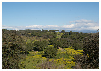 03 Primavera en el Parque de Casa de Campo