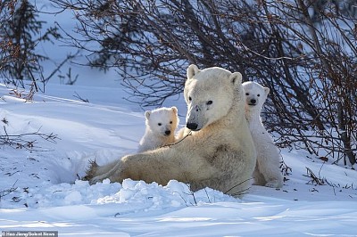 imagem jigsaw puzzle