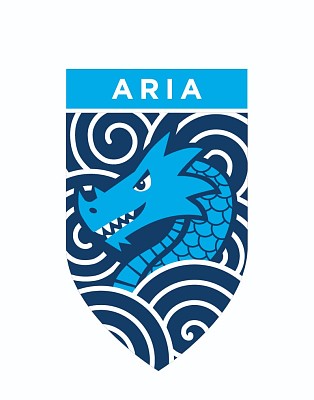 פאזל של dragone aria