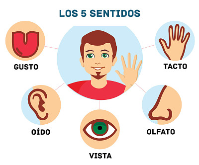 פאזל של los 5 sentidos