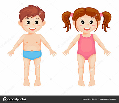 Cuerpo Humano