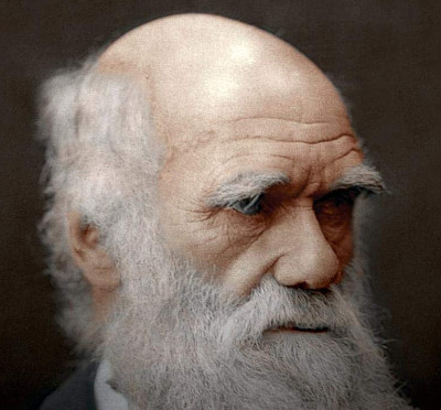 Darwin