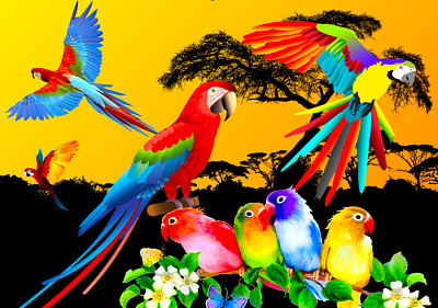 Oiseaux jigsaw puzzle