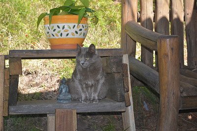 MeditaciÃ³n