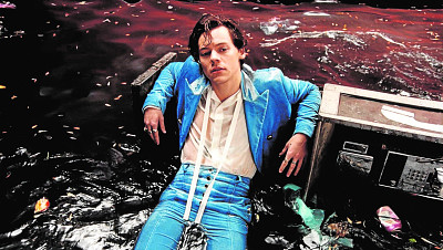 Harry Styles jigsaw puzzle