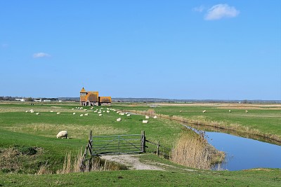 פאזל של Romney Marsh Church, England