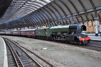 Flying Scotsman at York, England jigsaw puzzle