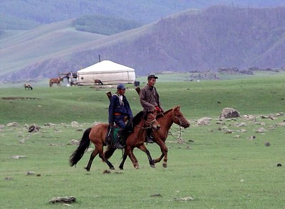 פאזל של plaine mongole