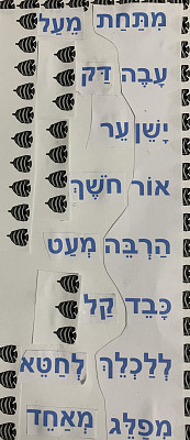 ×™×¤×”