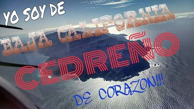 פאזל של CedreÃ±o de corazÃ³n