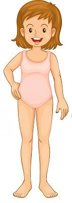 corpo humano