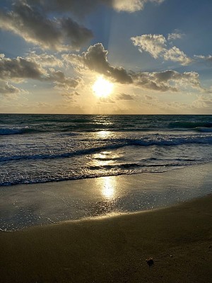 פאזל של Hobe Sound Refuge