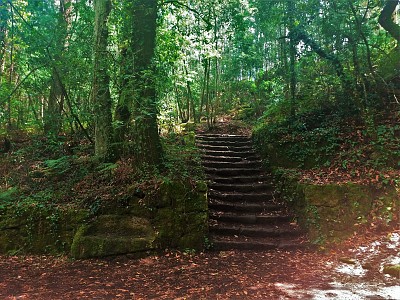 פאזל של bosque encantado-pontevedra