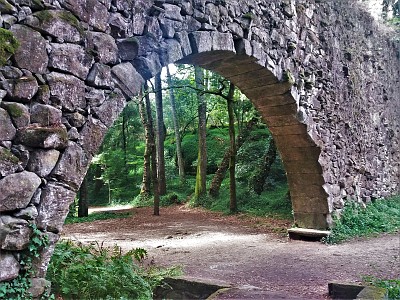 bosque encantado-pontevedra jigsaw puzzle