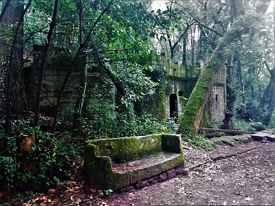 פאזל של bosque encantado-pontevedra