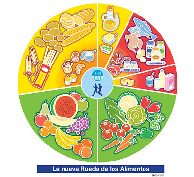 clasificaciÃ³n de los alimentos