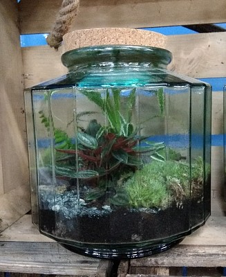 Terrarium jigsaw puzzle