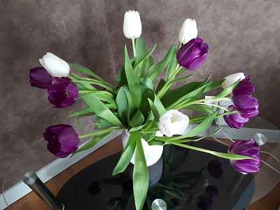 פאזל של bouquet de tulipes