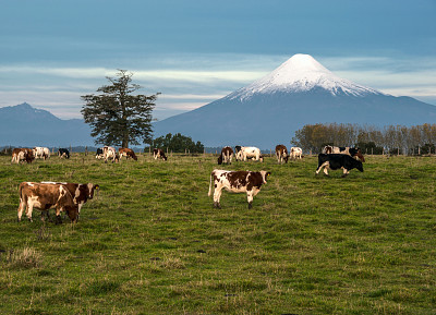 פאזל של VOLCAN OSORNO,CHILE