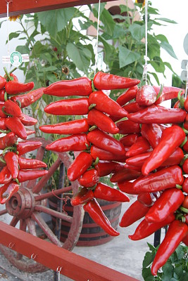 piments d 'Espelette