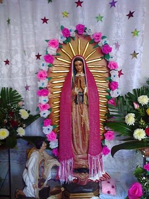 La rosa de Guadalupe jigsaw puzzle