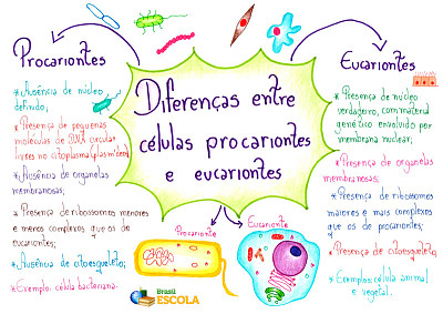 DiferenÃ§a entre cÃ©lula procarionte e eucarionte