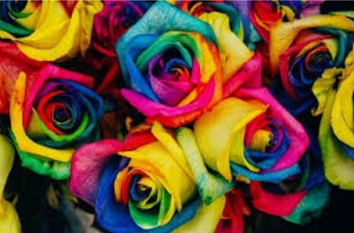 פאזל של Colored flowers