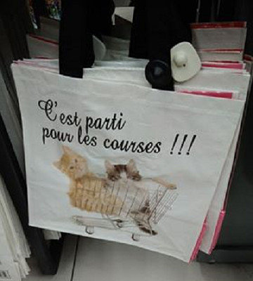 Cabas pour les courses