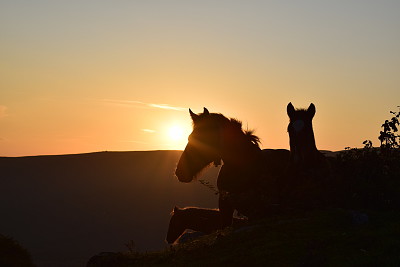 פאזל של Atardecer