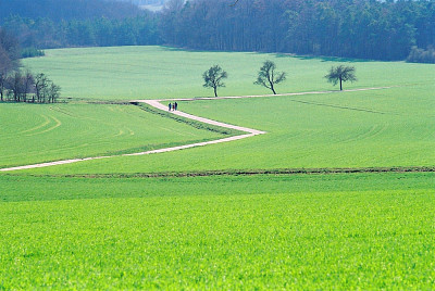 Spazierang im FrÃ¼hling jigsaw puzzle