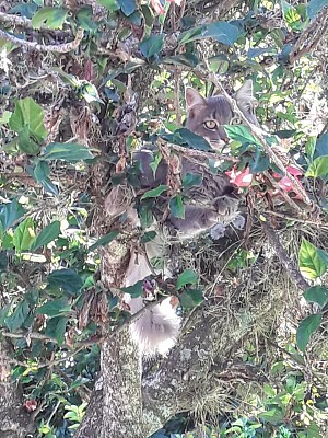 Naturaleza