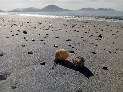 San Carlos, Sonora MÃ©xico