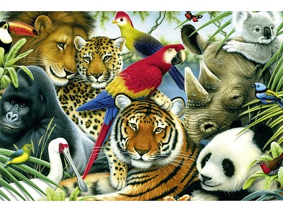 SELVA jigsaw puzzle