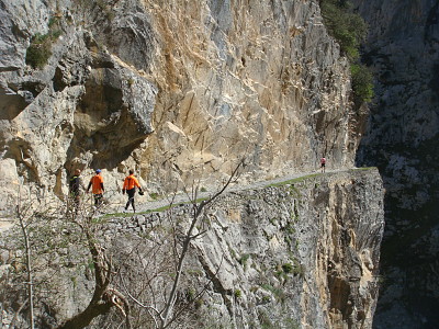 פאזל של River Cares Route