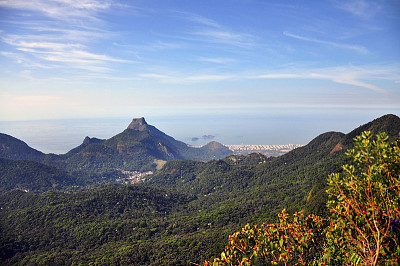 פאזל של Floresta da Tijuca - Rio de Janeiro